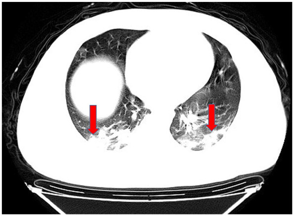 Figure 2.