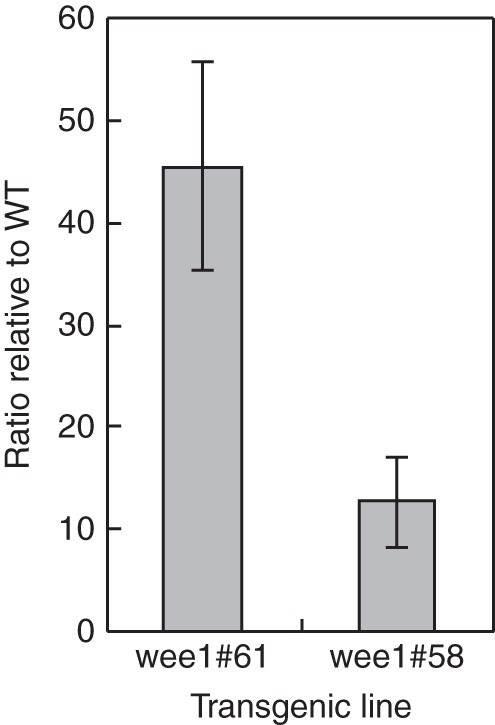 Fig. 1.