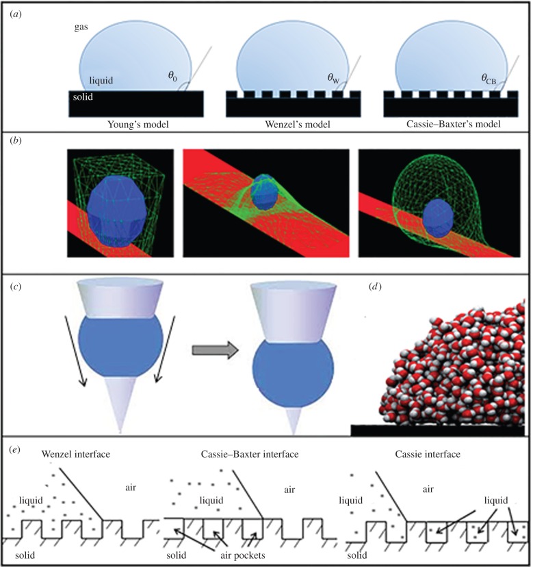 Figure 2.