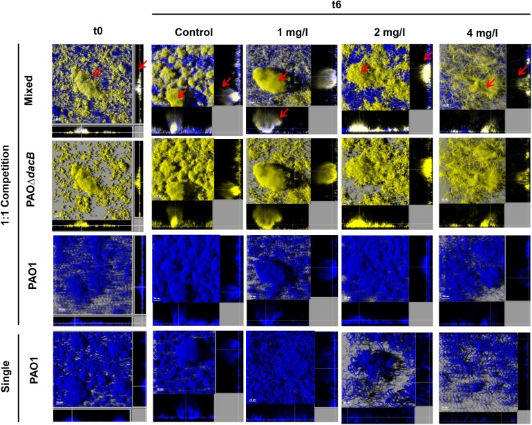 FIGURE 4