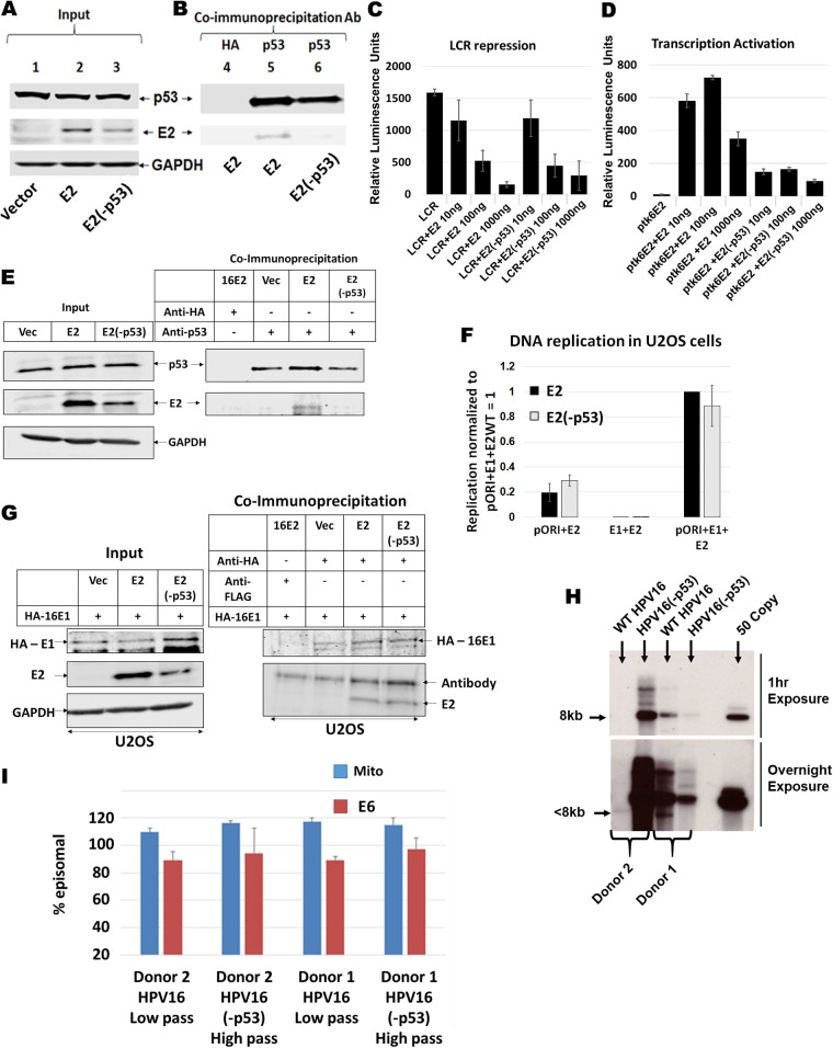 FIG 3