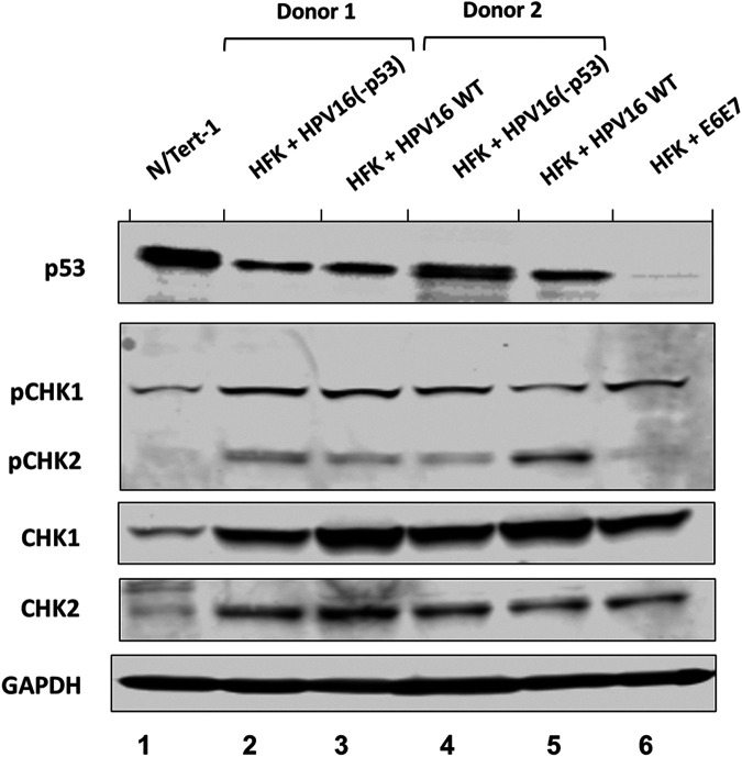 FIG 5