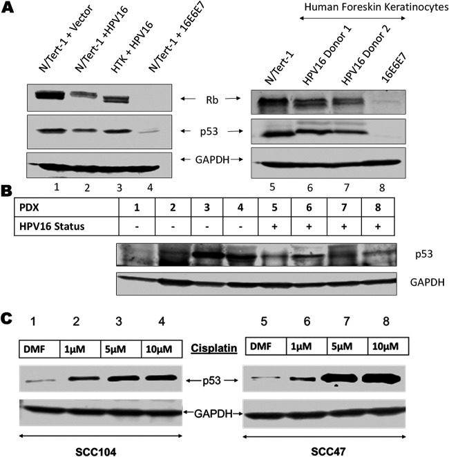 FIG 1