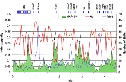 Figure  1