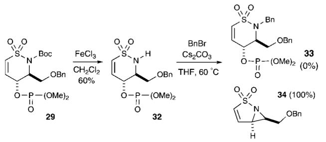 Scheme 5