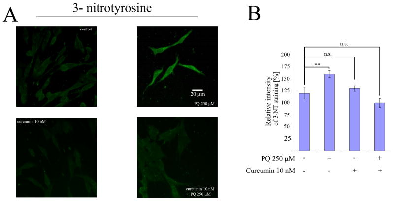 Fig. 11