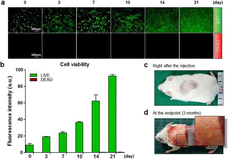 Fig 3