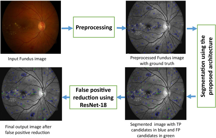 Fig. 2