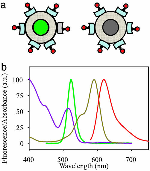 Fig. 1.