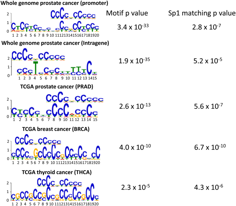 Figure 7