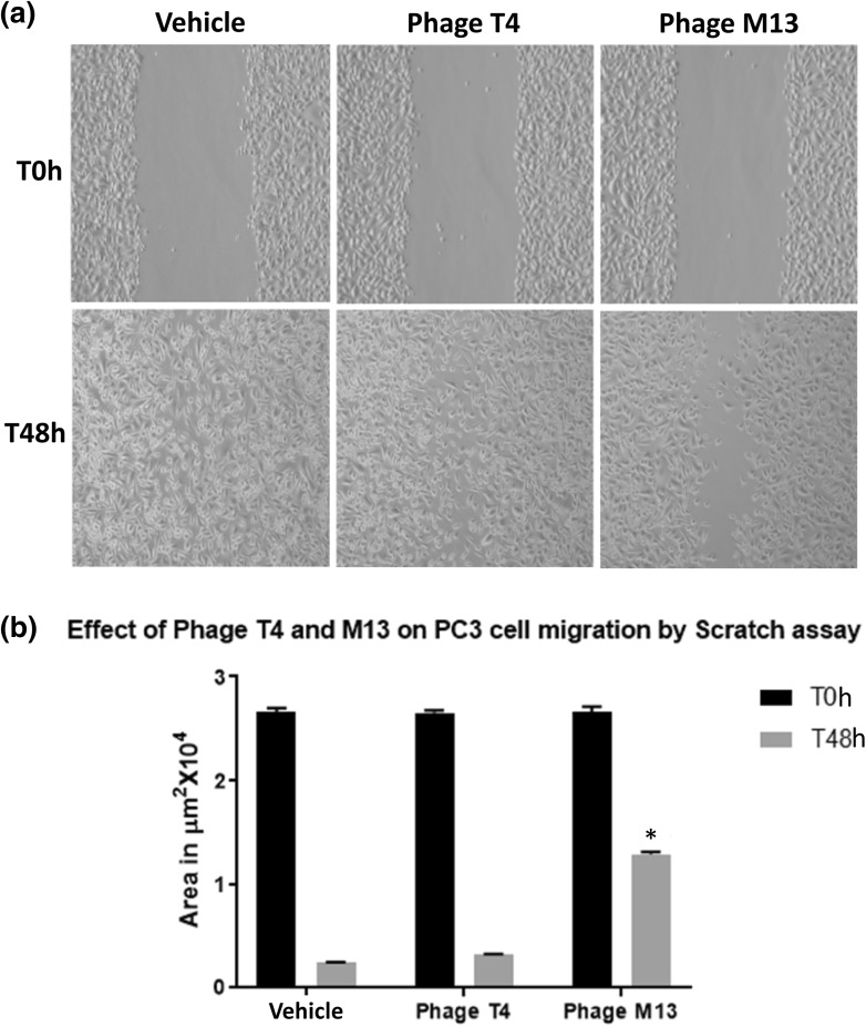 Fig. 6