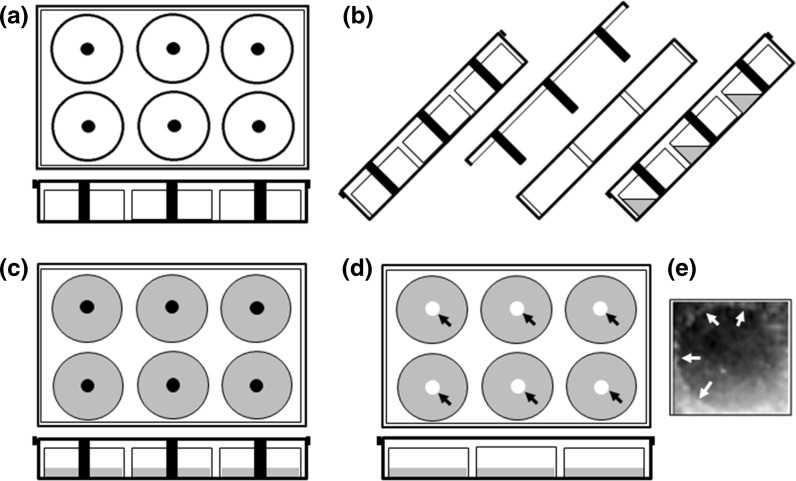 Fig. 3