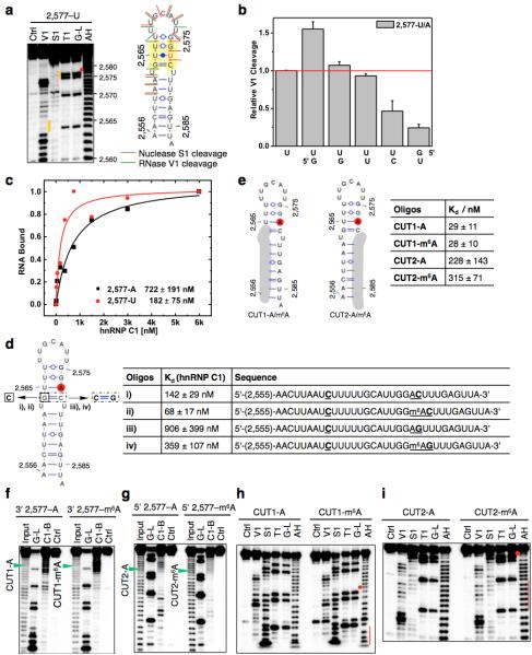 Extended Data Figure 2