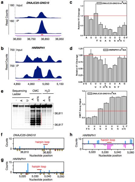 Extended Data Figure 5