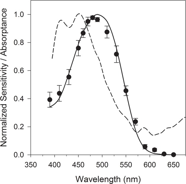 Fig 2