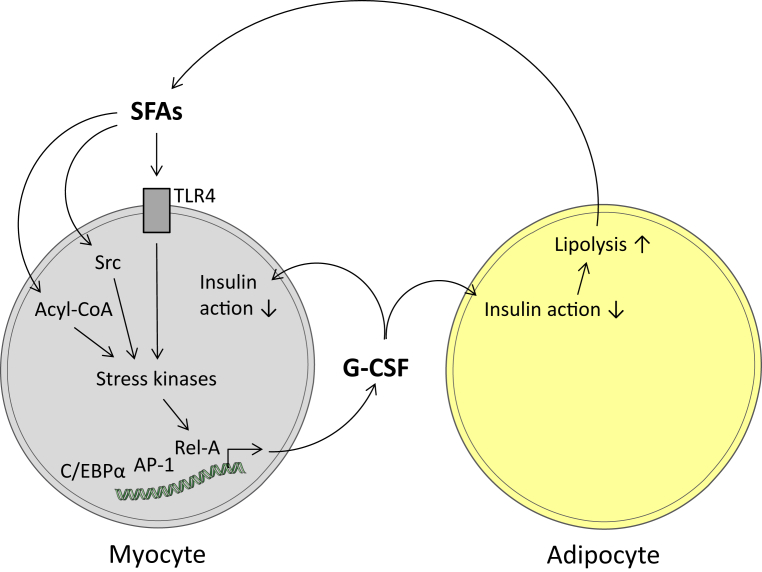 Figure 7