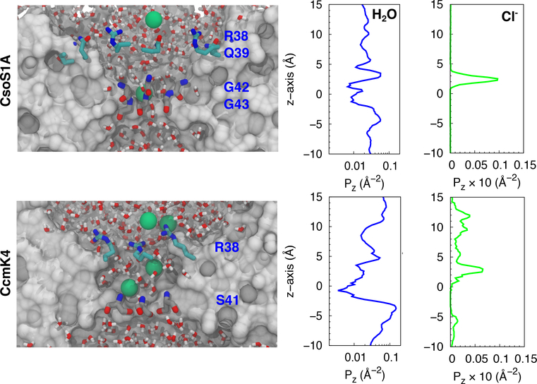 Figure 2: