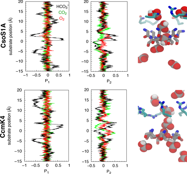 Figure 7: