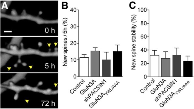 Figure 7.