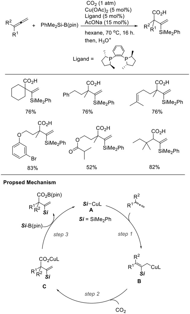 Scheme 15