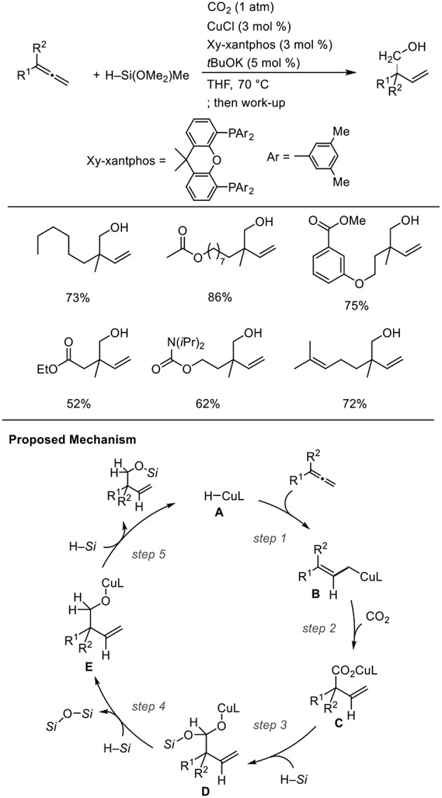 Scheme 12