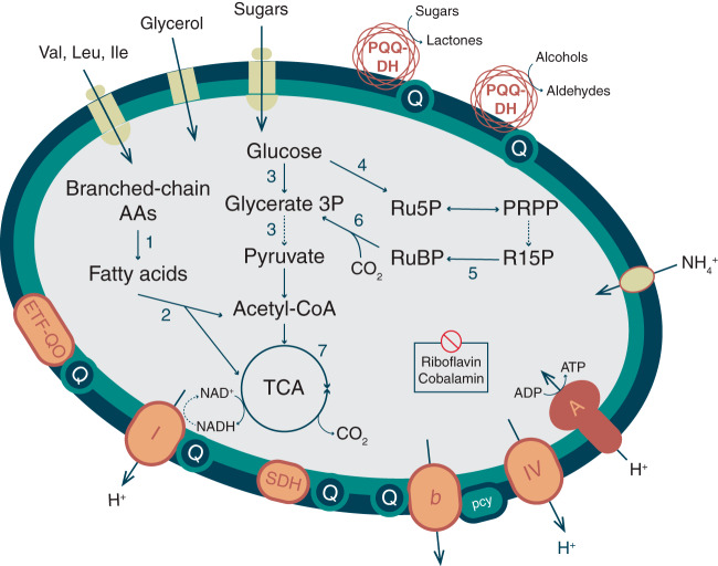 FIG 4