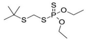 graphic file with name bioengineering-08-00092-i011.jpg