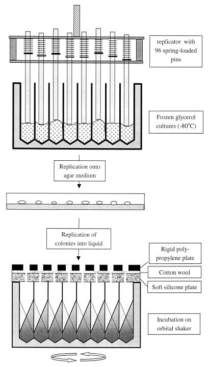 FIG. 3