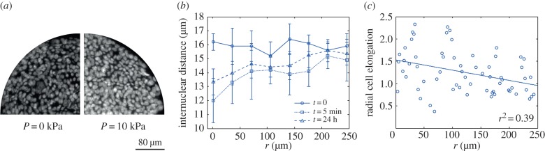 Figure 1.