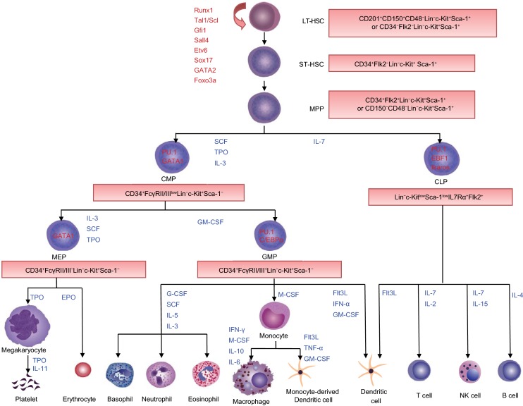 Figure 1