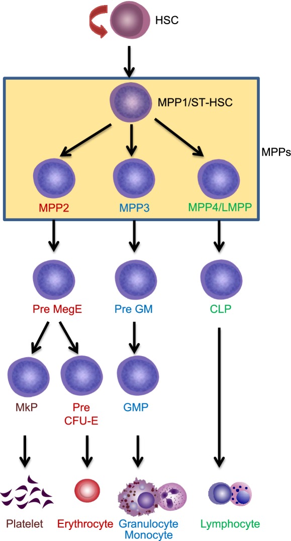 Figure 4