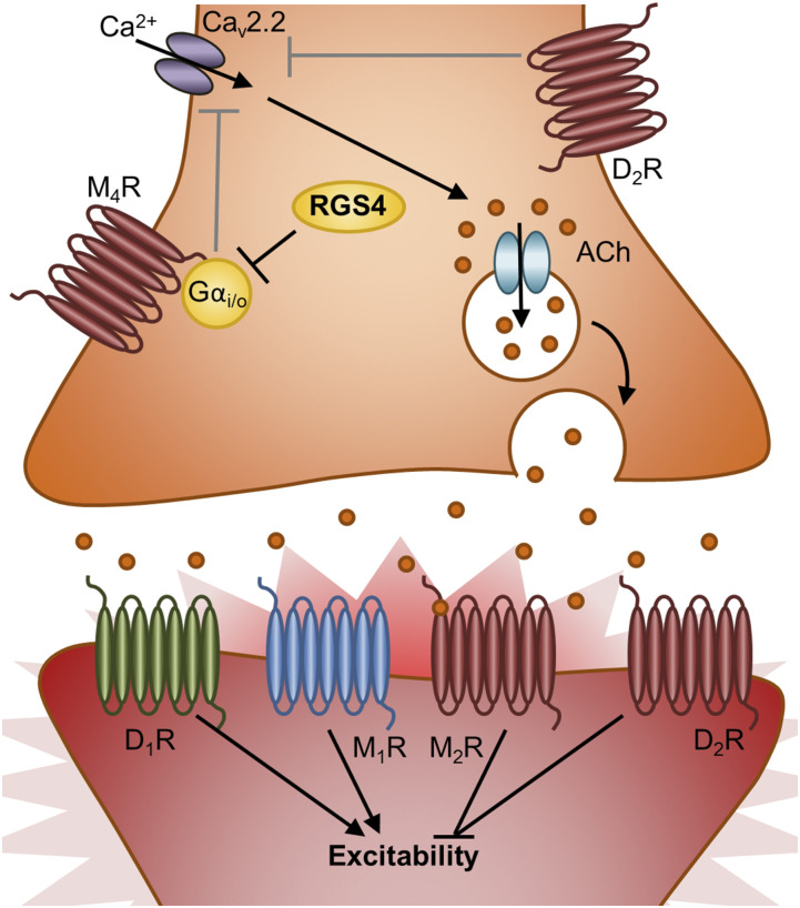 Fig. 3.