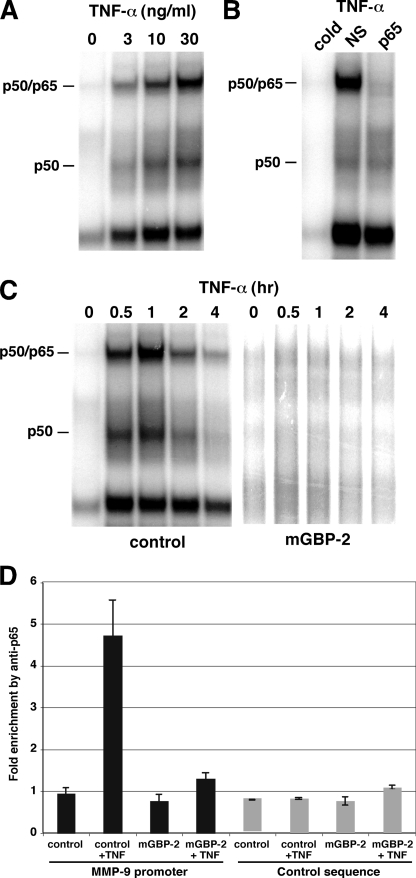 FIGURE 4.