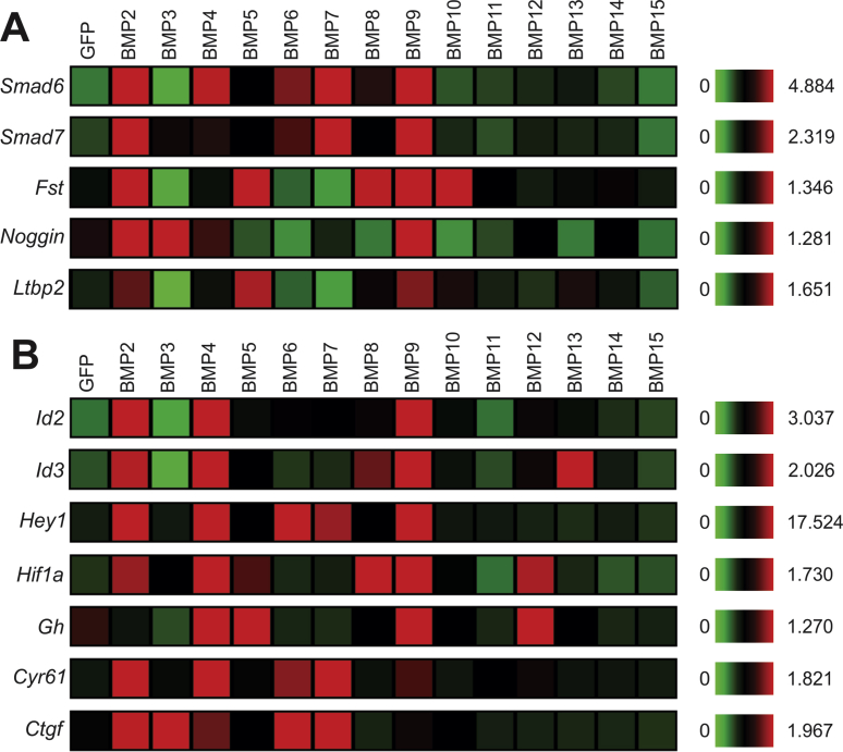 Figure 4