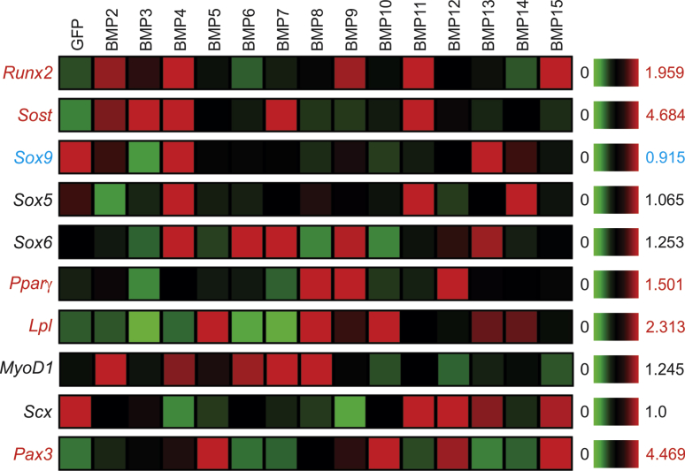 Figure 5