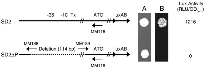 FIG. 3