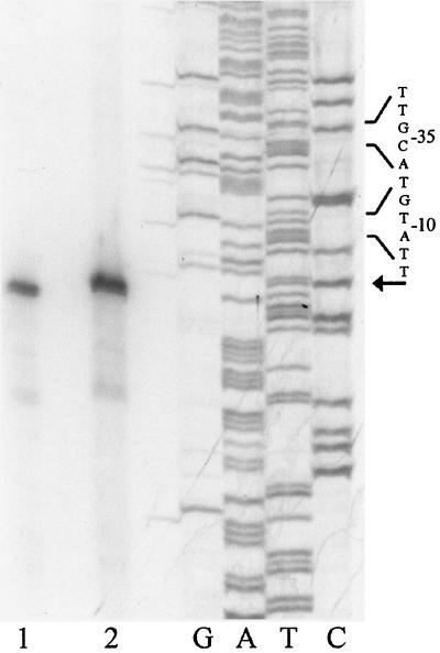 FIG. 5