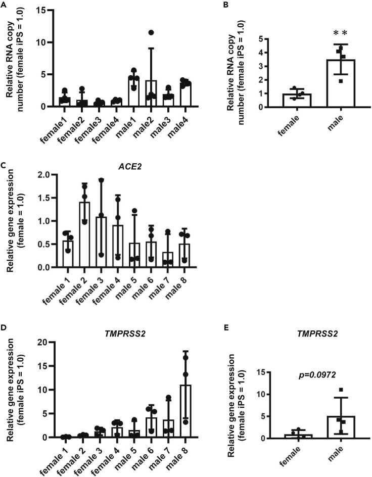 Figure 6