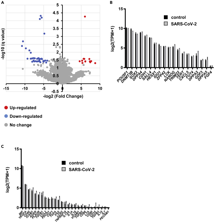 Figure 4