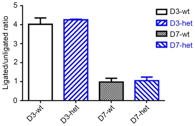 Figure 4.