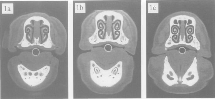 Figure 1a-e.