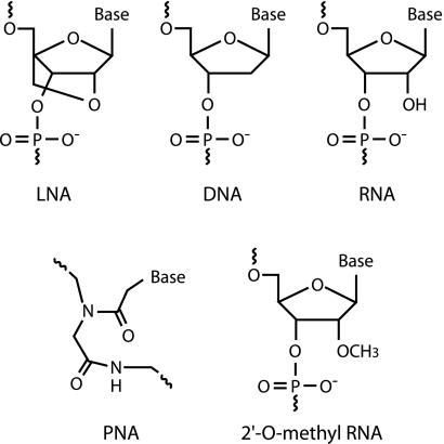 FIG. 1.