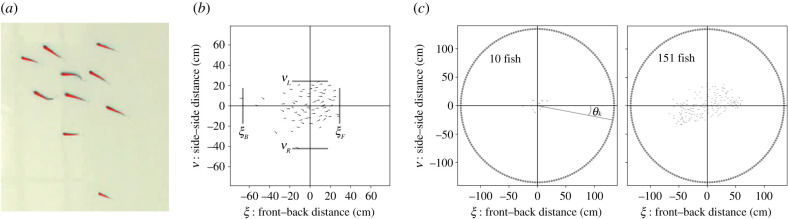 Figure 10. 