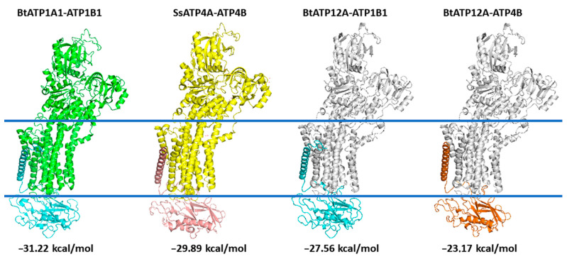 Figure 9