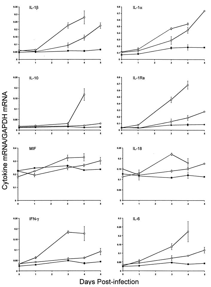 FIG. 3.