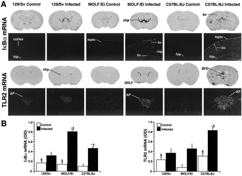 FIG.7.