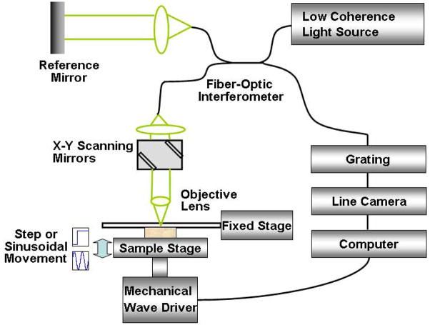 Fig. 1