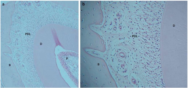 Fig. (2)