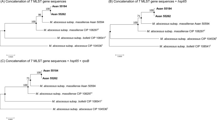 Fig 3