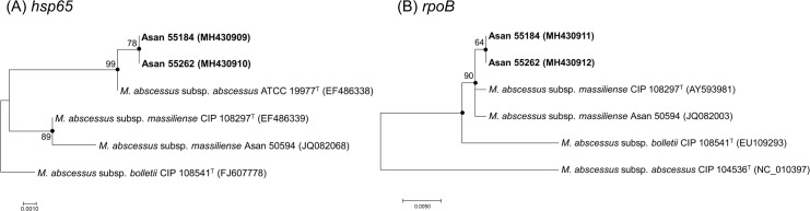 Fig 1